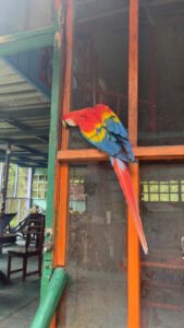 CjUKMVNuYXBjaGF0LzEzLjY3LjEuMCAoaVBob25lMTQsNTsgaU9TIDE4LjYuMjsgZ3ppcCkgAg==